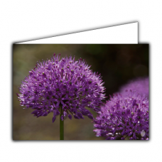 Greeting card | Chives